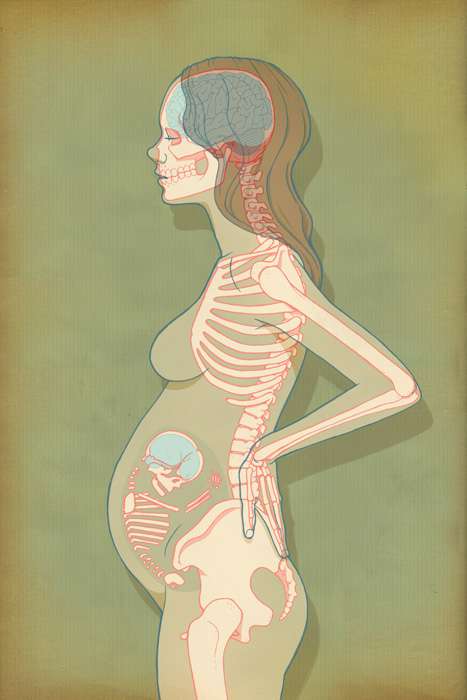 التصوير الشعاعي اثناء الحمل