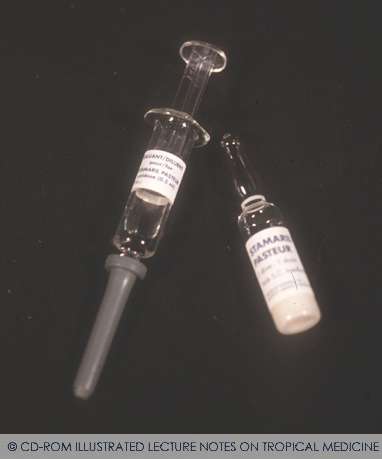 تطعيم الحمى الصفراء
