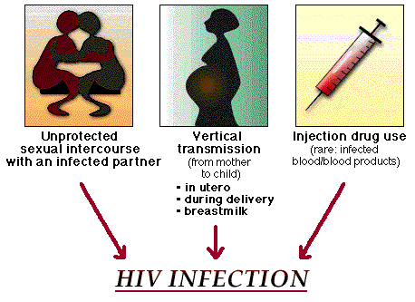 ما هو الفرق بين hiv و aids