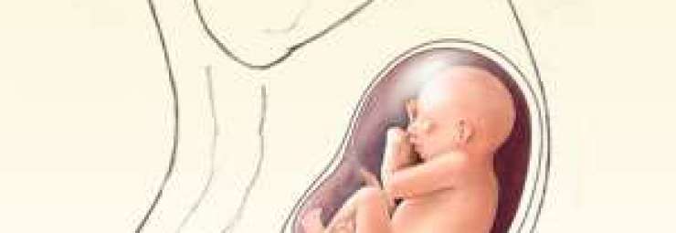 صعوبة و ضيق التنفس عند الحامل