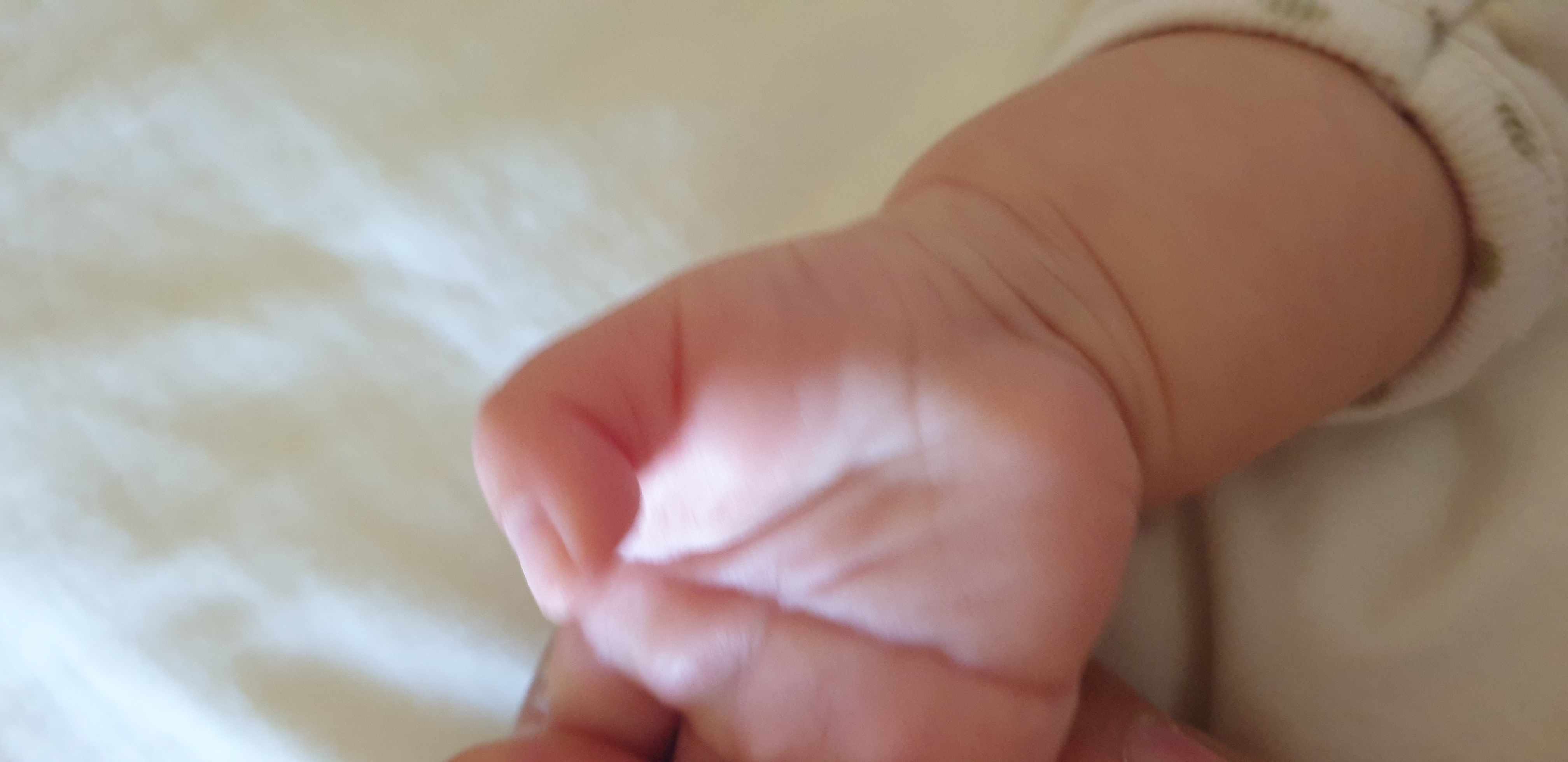 دلالة خطوط راحة و كف اليد