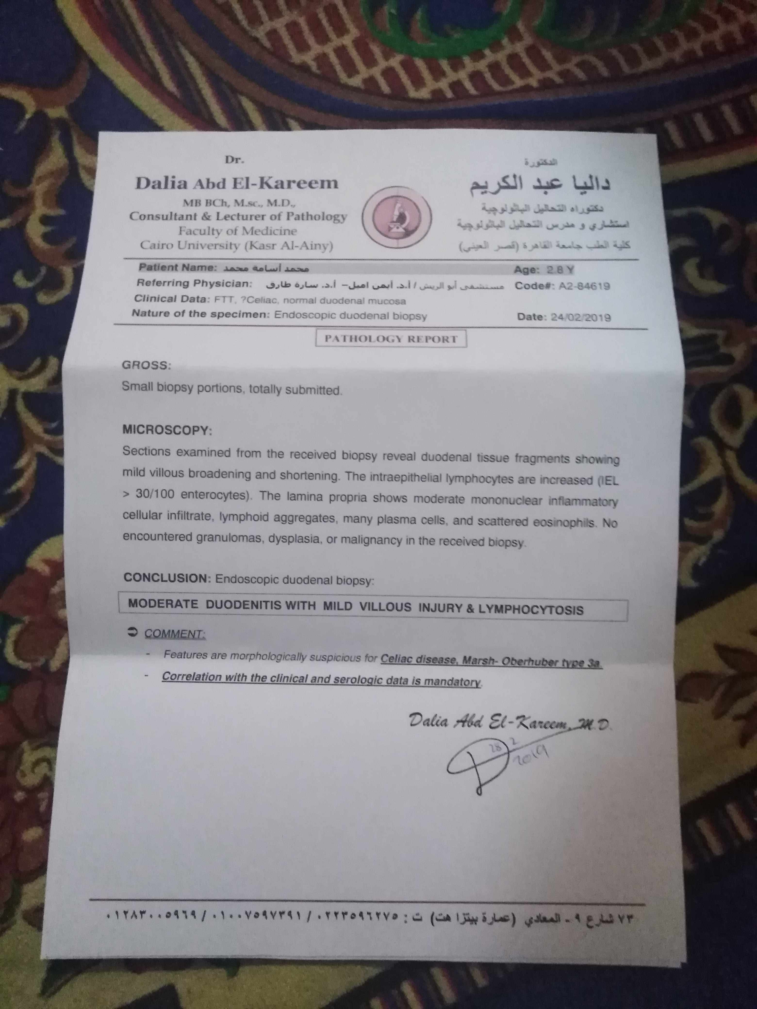 تقرير العينة للامعاء