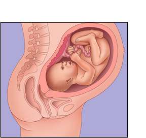 الجنين في الشهر التاسع
