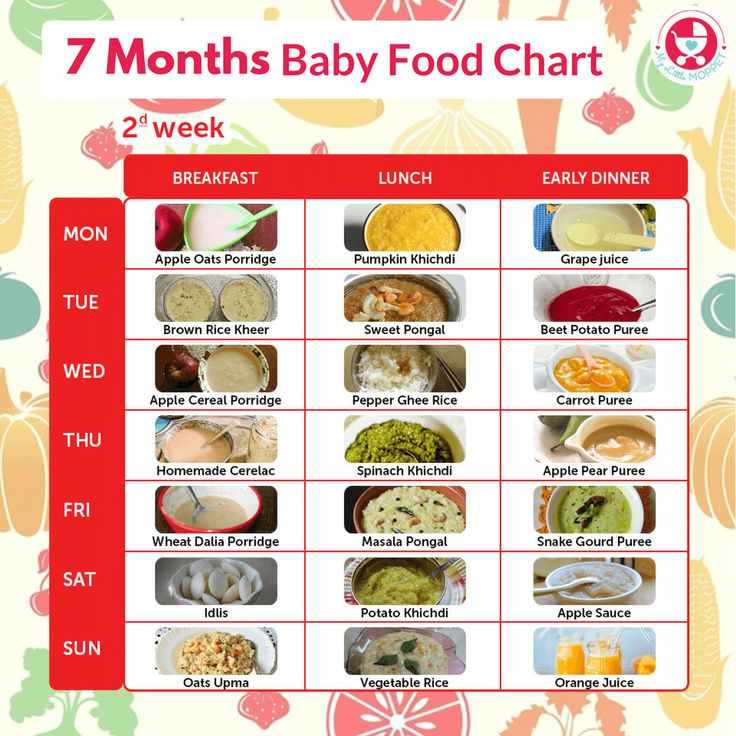 ما هي عدد وجبات الطفل في الشهر السادس؟
