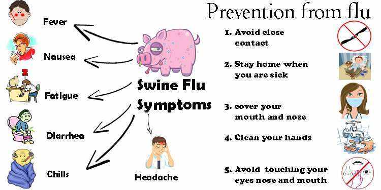 أعراض انفلونزا الخنازير