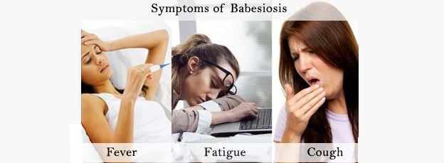 أعراض مرض البابسيات
