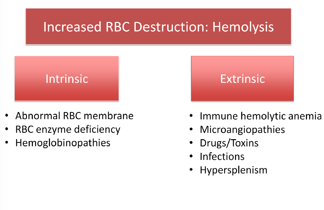 أنواع فقر الدم الانحلالي الناجم عن خلل خارج الكريات الحمر