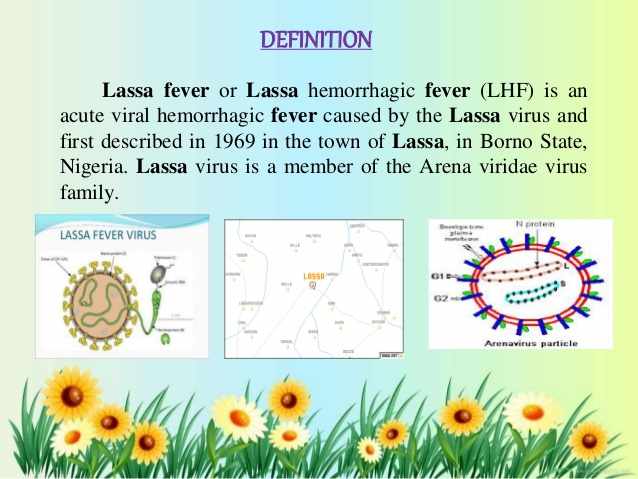 ارينا فيروس و حمى لاسا