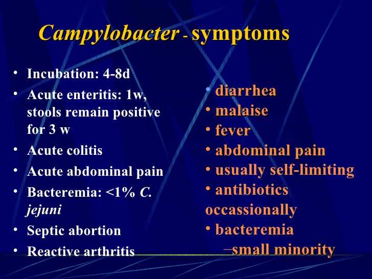 اعراض بكتيريا الكامبيلوباكتر