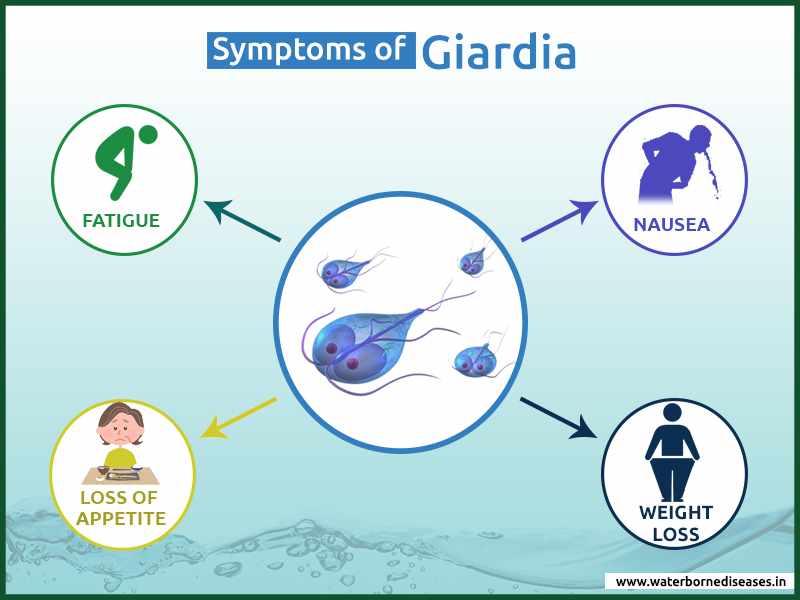 اعراض طفيلي الجيارديا
