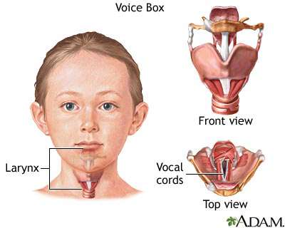 التهاب الحنجرة عند الاطفال