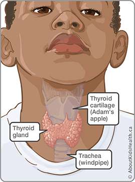 التهاب الغدة الدرقية عند الأطفال