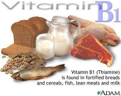 الفيتامين ب B- فيتامين B - vitamin B