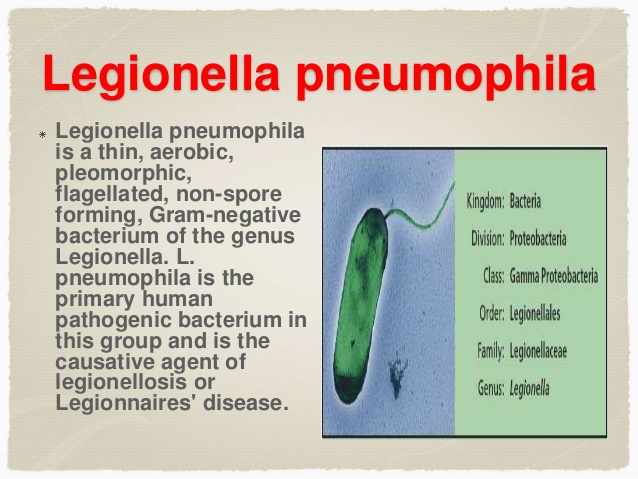 الليجيونيلا الرئوية