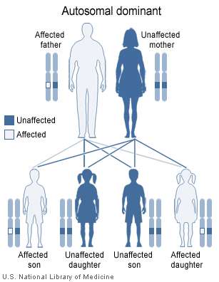 الى الأبناء الطفرة انتقال من الجينية في الخلايا الجسمية الأباء الوراثه هي
