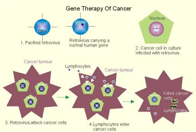 المعالجة الجينية لمرض السرطان