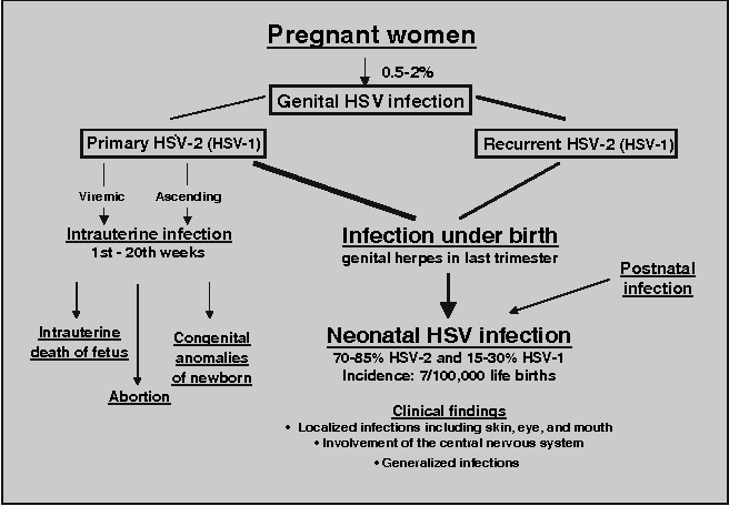 الوقاية من انتقال فيروس الهربس للطفل خلال الحمل و الولادة