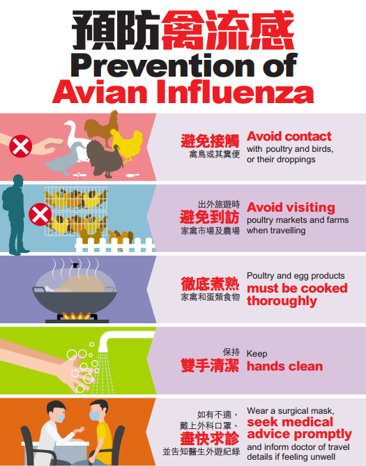الوقاية من انفلونزا الطيور