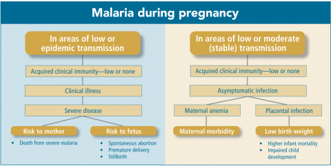 الوقاية من مرض الملاريا عند الحامل