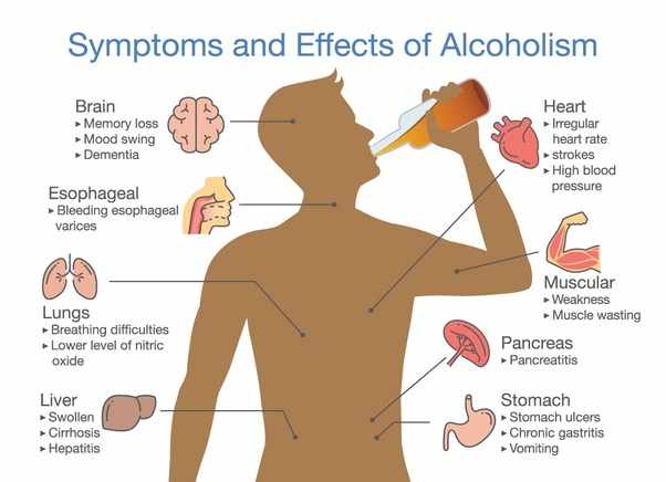 تأثير الكحول على الدماغ و الجسم