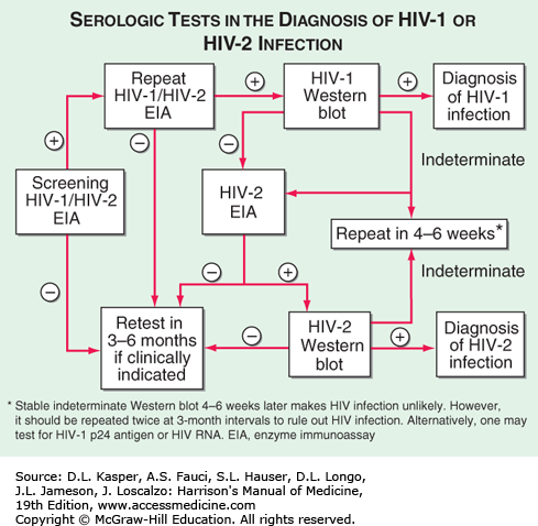تشخيص فيروس الآيدز