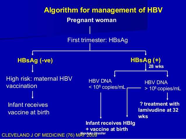 تطعيم الحامل ضد التهاب الكبد ب B