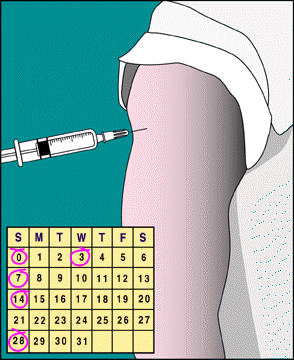 تطعيم الكَلَب و السعار