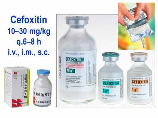 جرعة دواء السيفوكسيتين للأطفال