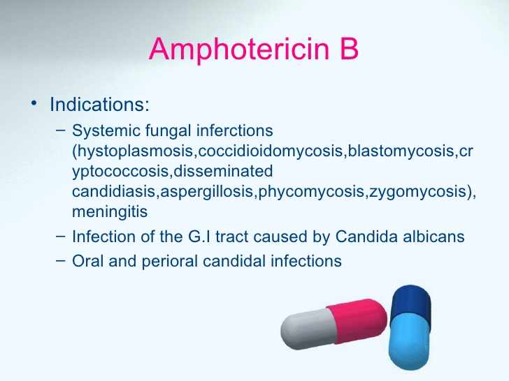 دواء امفوتريسين ب فنجيزون