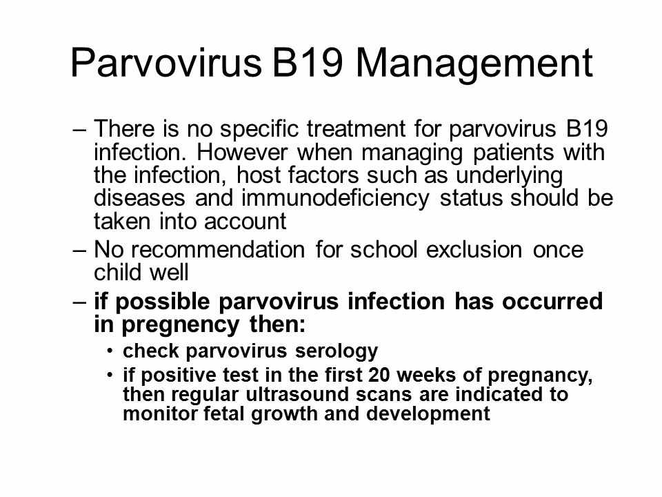علاج بارفو فيروس ب 19