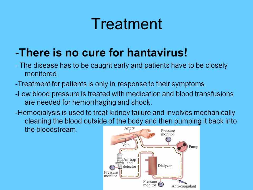 علاج فيروس هانتا