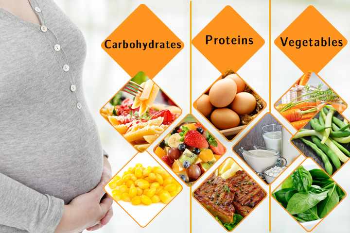 ما هو النظام الغذائي للحامل