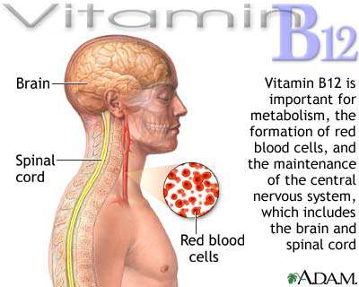 نقص الفيتامين ب12