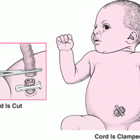 صور الولادة الطبيعية