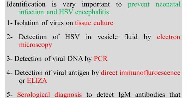 تحاليل تشخيص فيروس الهربس