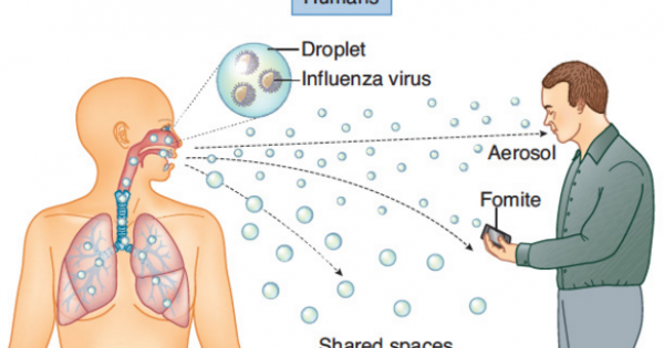 عدوى مرض الانفلونزا