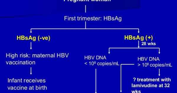 فحص فيروس التهاب كبد ب عند الام الحامل