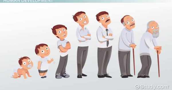 مراحل الحياة من الولادة إلى الموت مراحل الحياة من الولادة إلى الموت