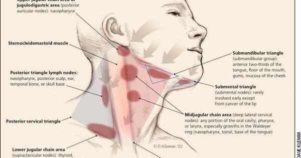 movable lump in cheek by jaw movable lump in cheek by jaw