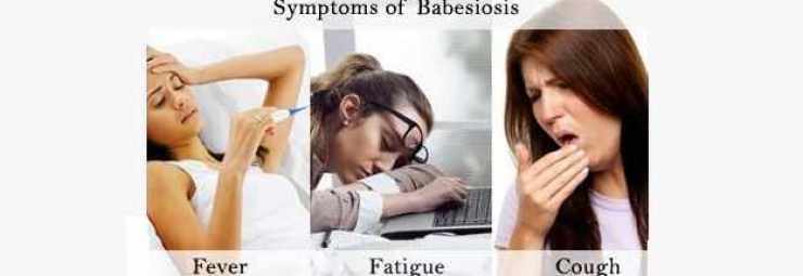 أعراض مرض البابسيات