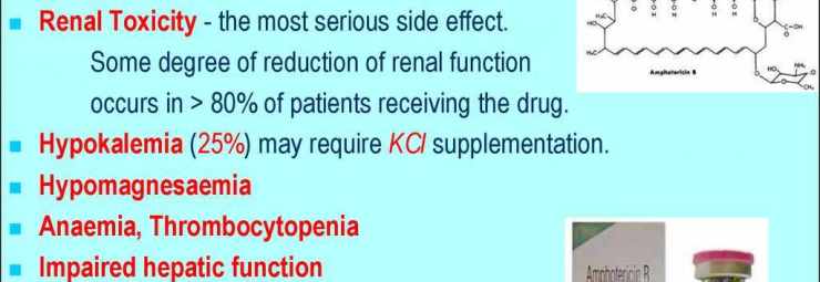 الآثار الجانبية لدواء امفوتريسين ب الفنجيزون