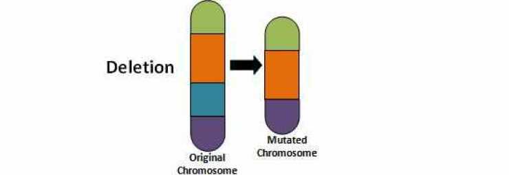 امراض الكروموسومات بسبب الحذف
