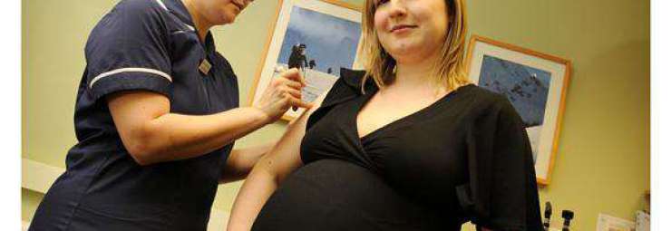 تطعيمات الحامل